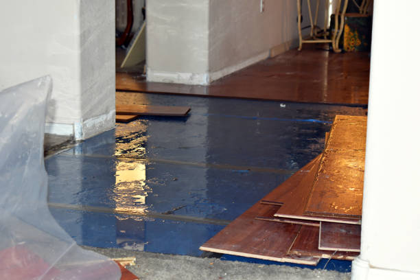 Professional Burst Pipe Cleanup technician working in Long Beach, CA